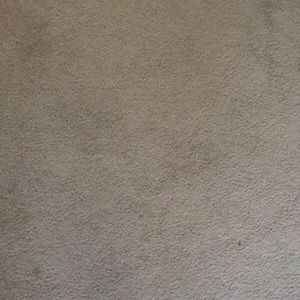 Meet your Posher, Joey